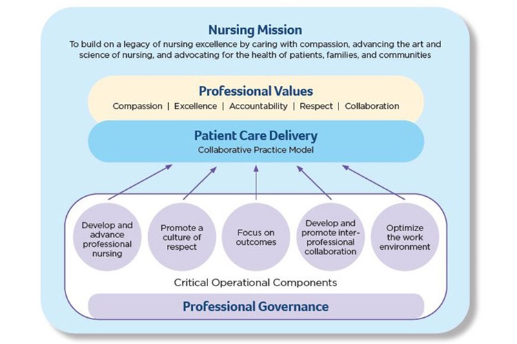 BIDMC Nursing Professional Practice Model