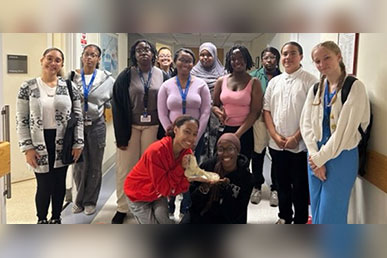 Summer Youth Interns Group