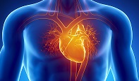 Heart failure: New electric mesh device gives the heart an