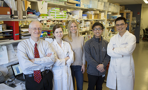 Research Team | BIDMC Of Boston