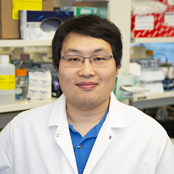 Fang Xie, PhD | BIDMC Of Boston